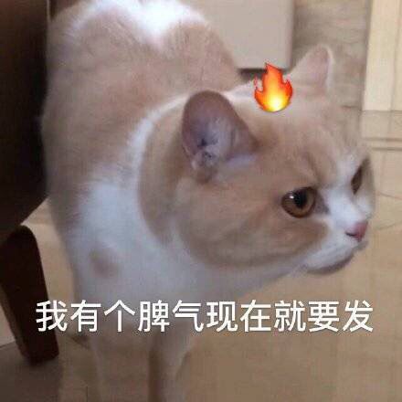 我有个脾气，现在就要发