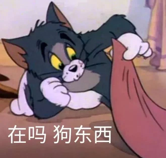 在吗？狗东西