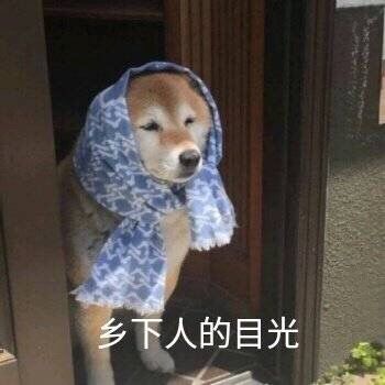 乡下人的目光