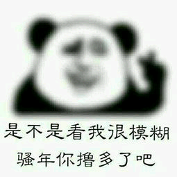 是不是看我浪模糊骚年你撸多了吧