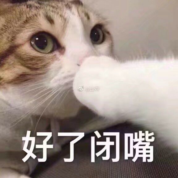 好了闭嘴