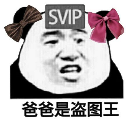 SVIP爸爸是盗图王