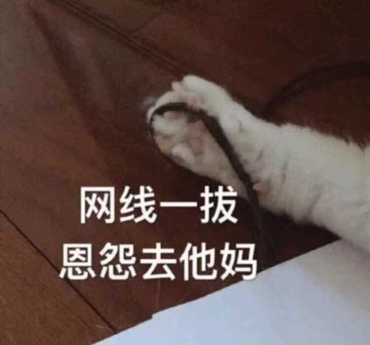 网线一拔，恩怨去他妈