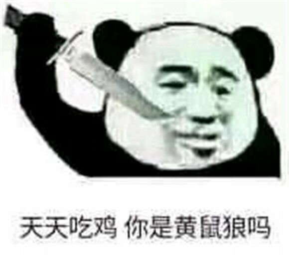 天天吃鸡你是黄鼠狼吗