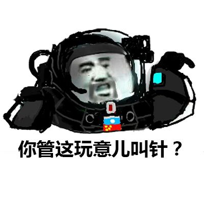 你管这玩意儿叫针？