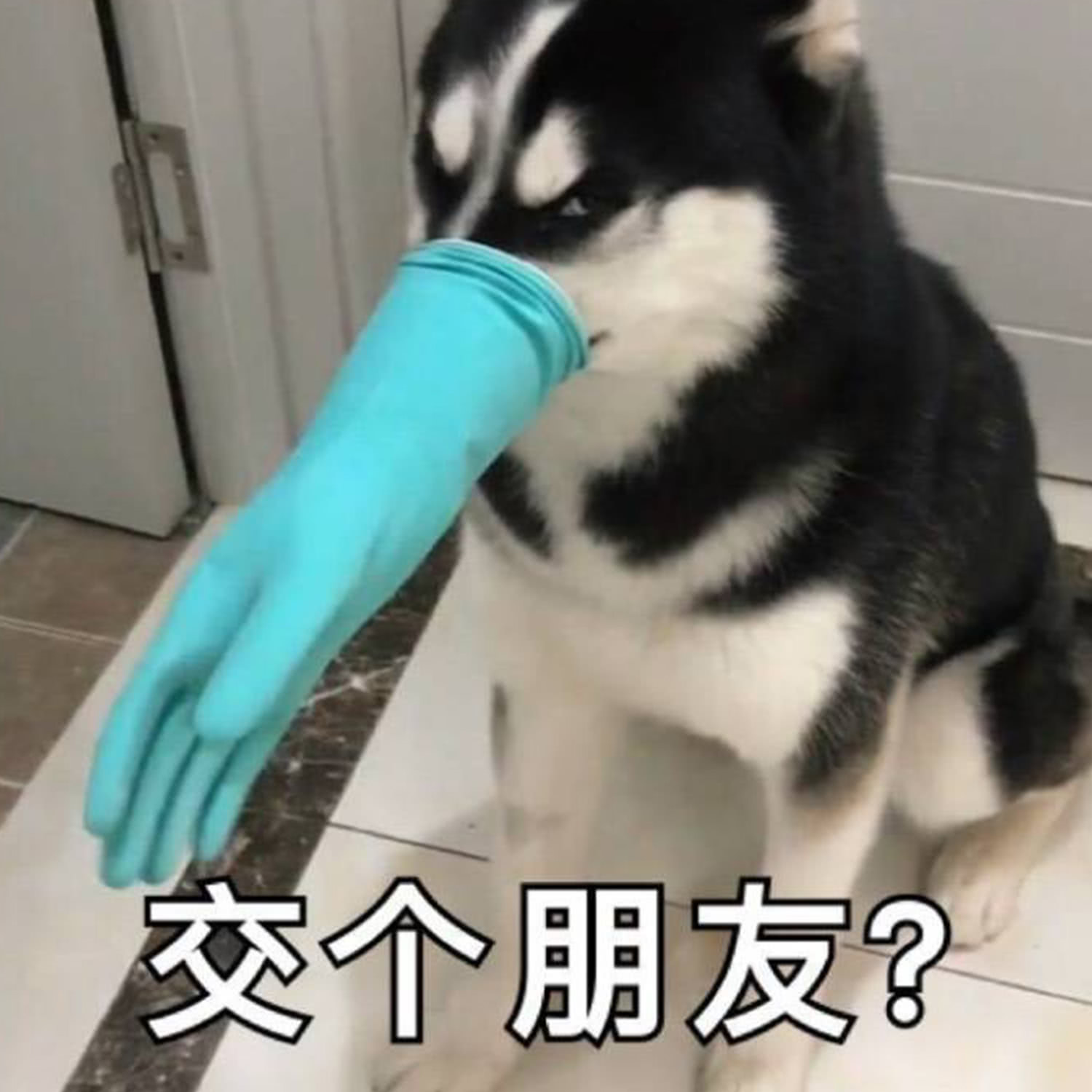 交个朋友？