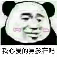 我心爱的男孩在吗