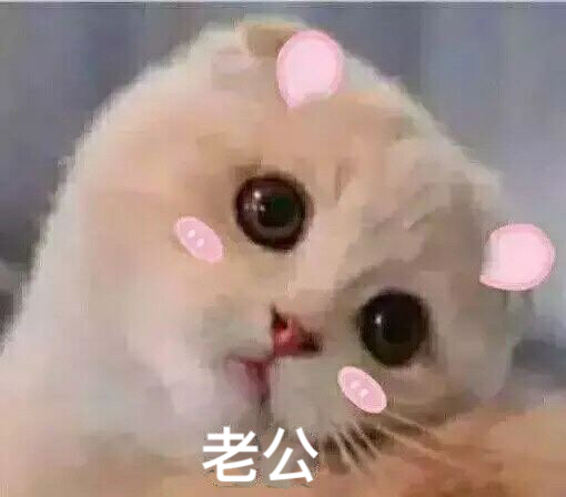 老公