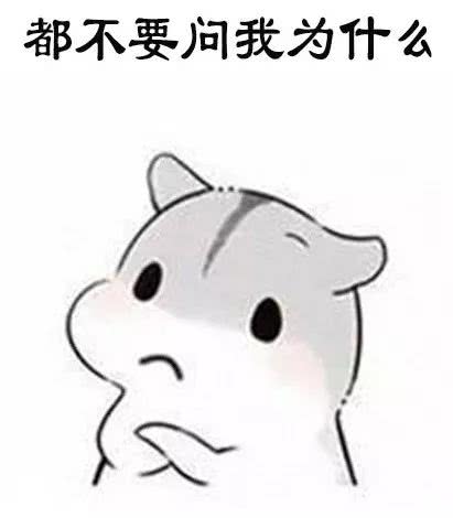 都不要问我为升么