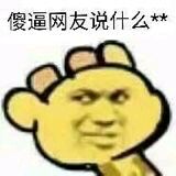 傻逼网友说什么