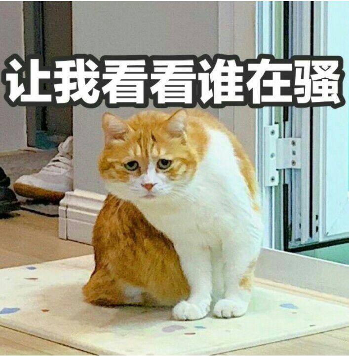 让我看看谁在骚