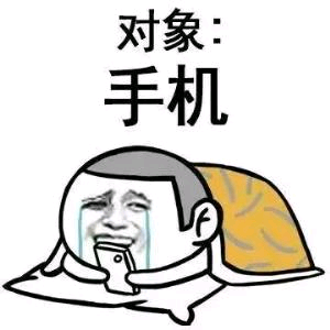 对象:手机