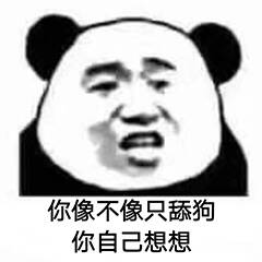 你像不像只舔狗你自己想想