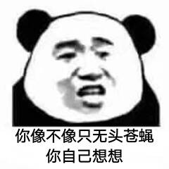 你像不像只无头苍蝇你自己想想