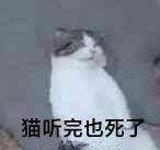 猫听完也死了