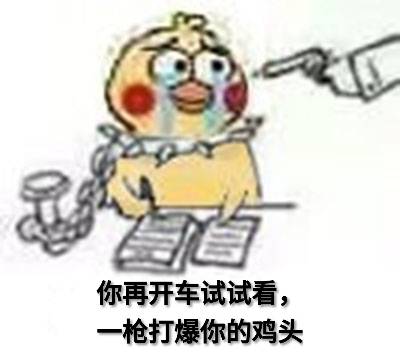 你再开车试试看，一枪打爆你的鸡头