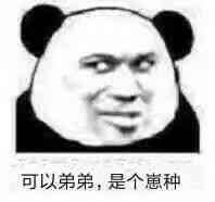 可以弟弟，是个崽种