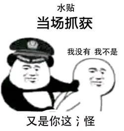 水贴当场抓获