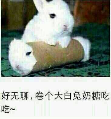 好无聊，卷个大白兔奶糖吃吃~