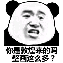 你是敦煌来的吗？壁画这么多？