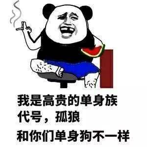 我是高贵的单身族代号，孤狼和你们单身狗不一样