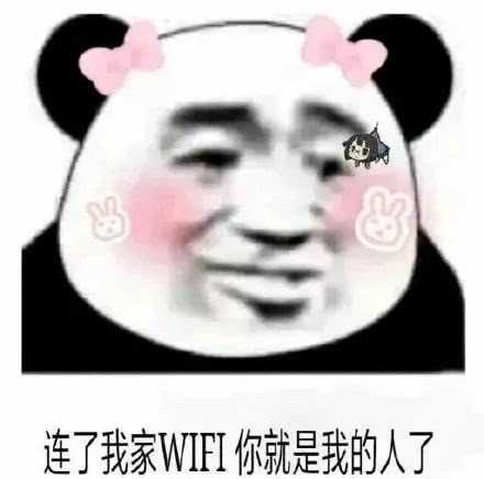 连了我家WIFI，你就是我的人了