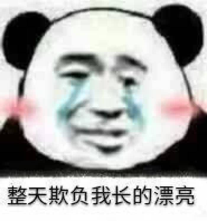 整天欺负我长的漂亮