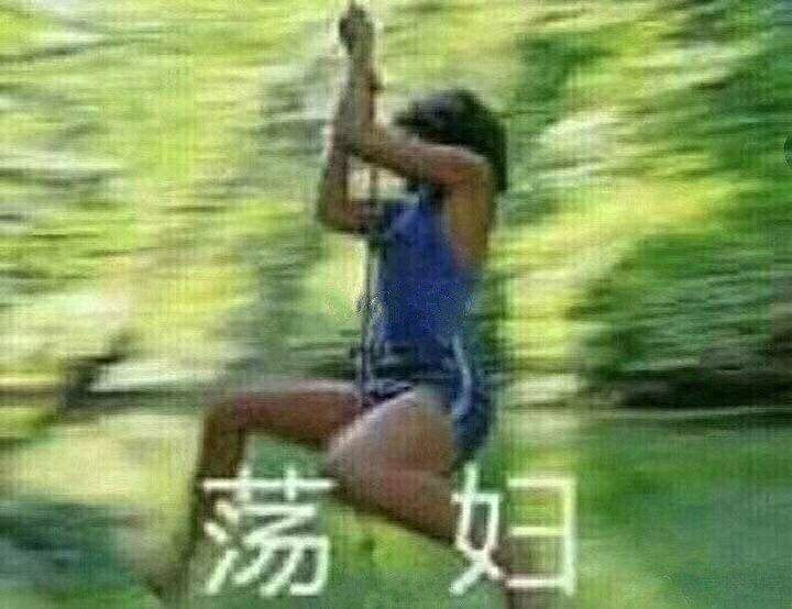 荡妇