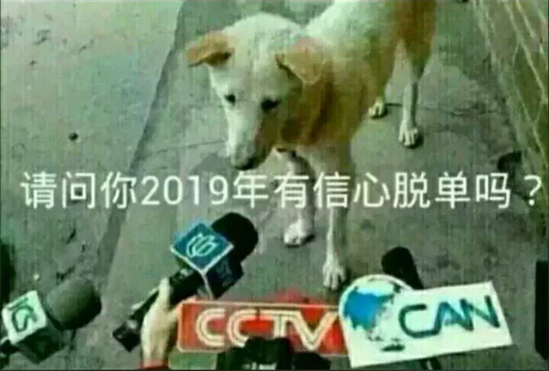 请问你2019有信心脱单吗？