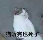 猫听完也死了