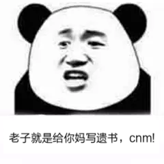 老子就是给你妈写遗书，cnm！