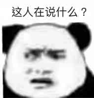 这人在说什么？