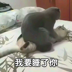 我要睡了你