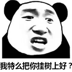 我特么把你挂树上好？