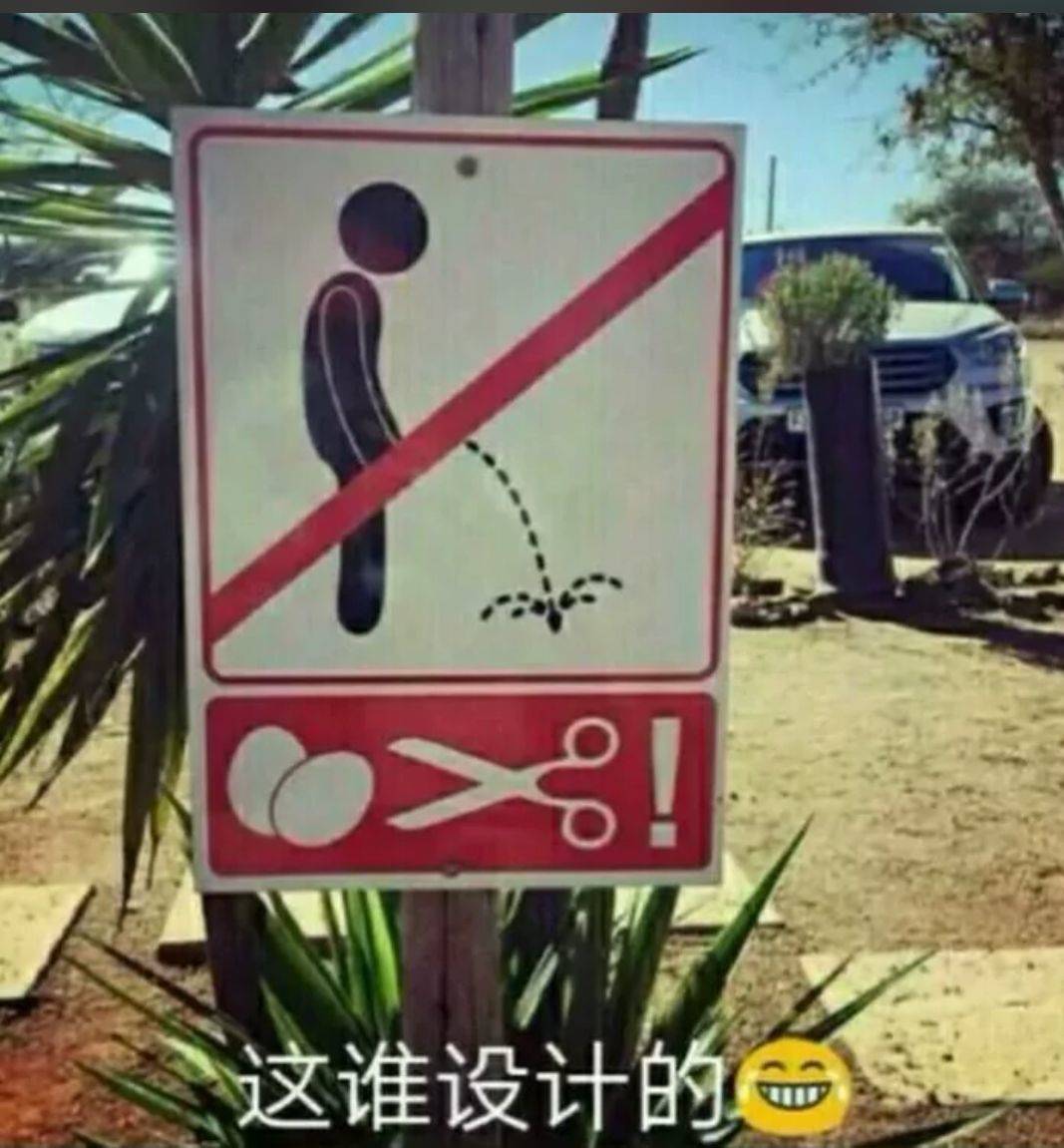 这谁设计的