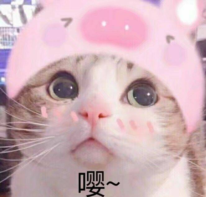 嘤