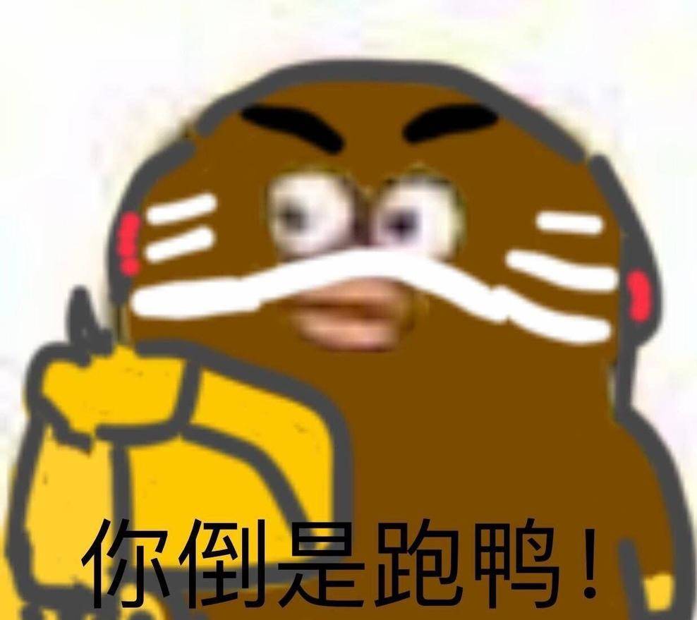 你倒是跑鸭！