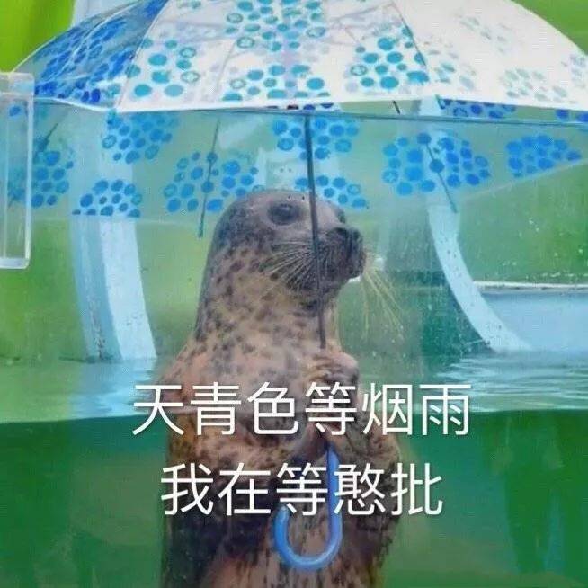 天青色等烟雨，我在等憨批