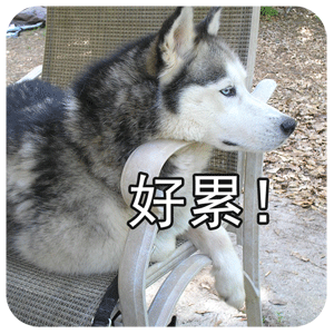 好累！