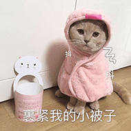 裹紧我的小被子