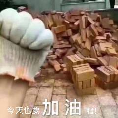 今天也要加油鸭！