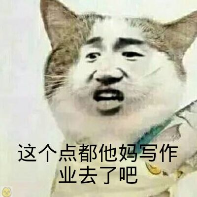 这个点都他妈写作业去了吧