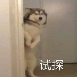 试探