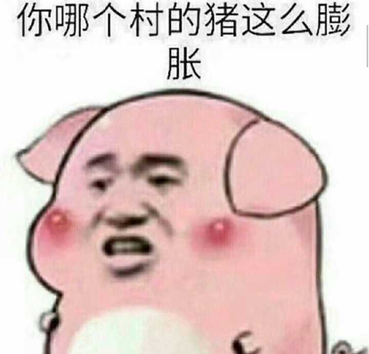 你哪个村的猪这么膨胀