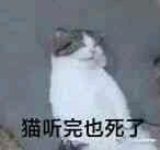 猫听完也死了