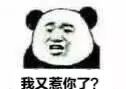 我又惹你了？