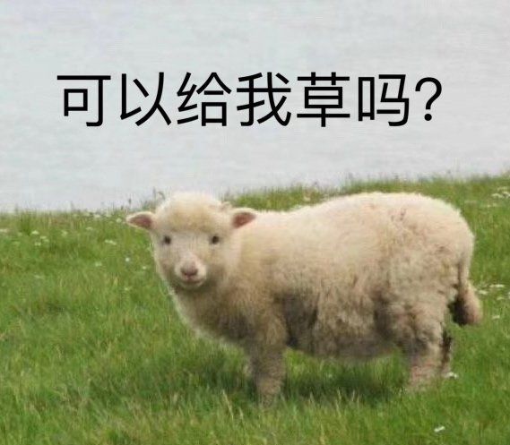 可以给我草吗？