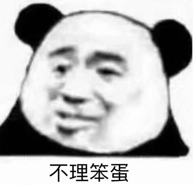 不理笨蛋