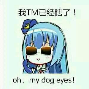 我TM已经瞎了！oh, my dog eyes