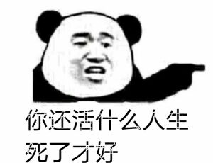 你还活什么人生，死了才好